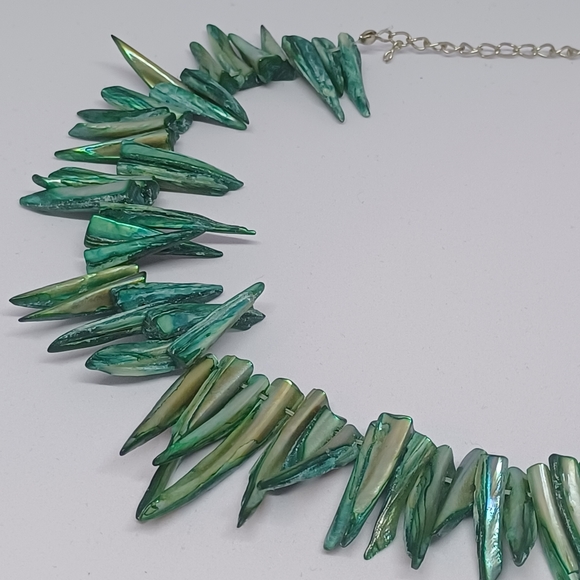 *Claimed* Dyed shell shard necklace - Picture 2 of 3